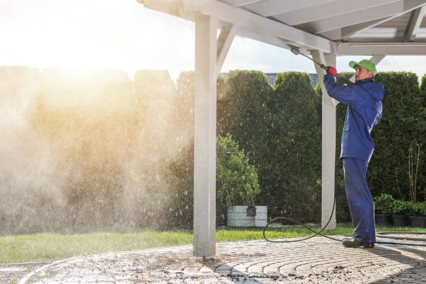 Best Restaurant Pressure Washing  in , IL